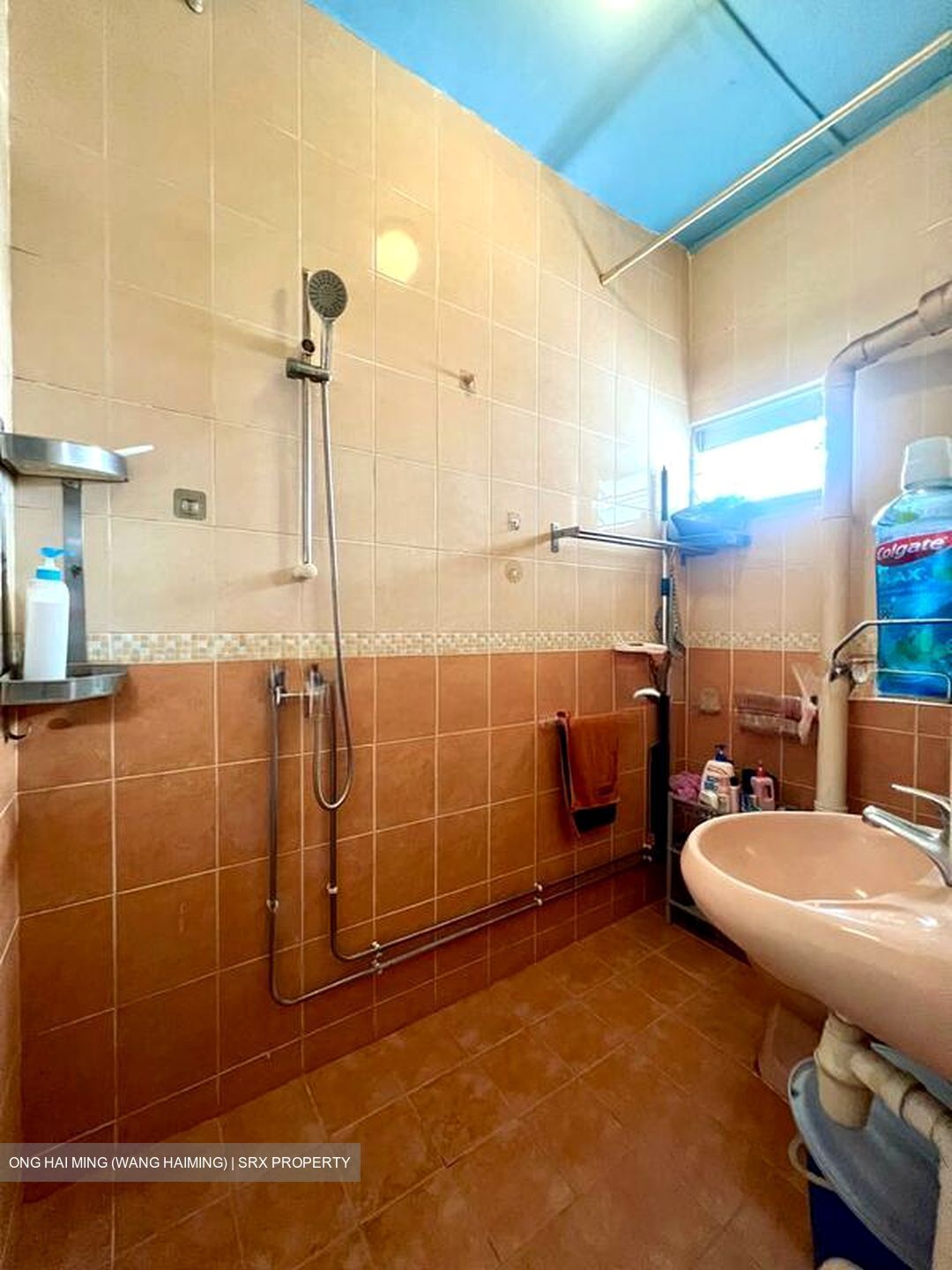 Blk 559 Jurong West Street 42 (Jurong West), HDB Executive #512377101